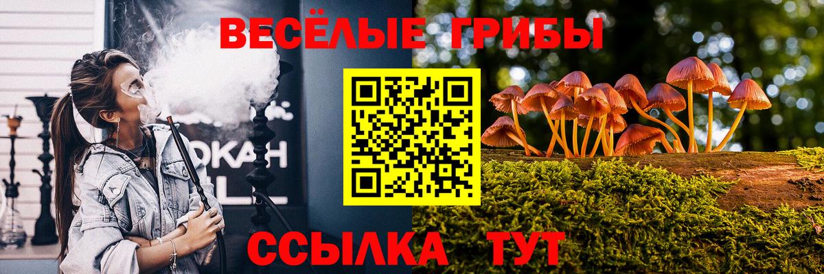 Галлюциногенные грибы Magic Shrooms Орехово-Зуево